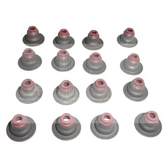 DNJ Engine Components® - Valve Stem Oil Seal Set