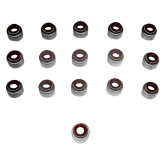 DNJ Engine Components® - Valve Stem Oil Seal Set