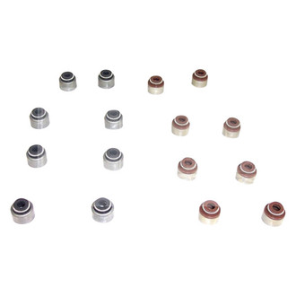 DNJ Engine Components® - Valve Stem Oil Seal Set