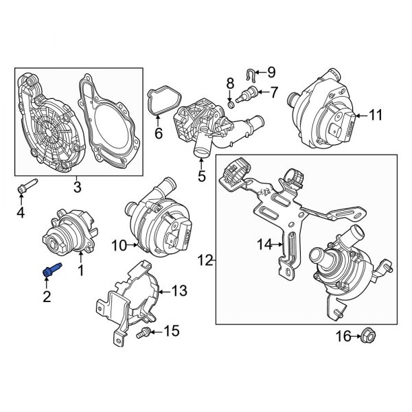 Engine Water Pump Bolt