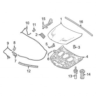 2025 Dodge Hornet Hood Shocks & Struts - Lift Support | CARiD