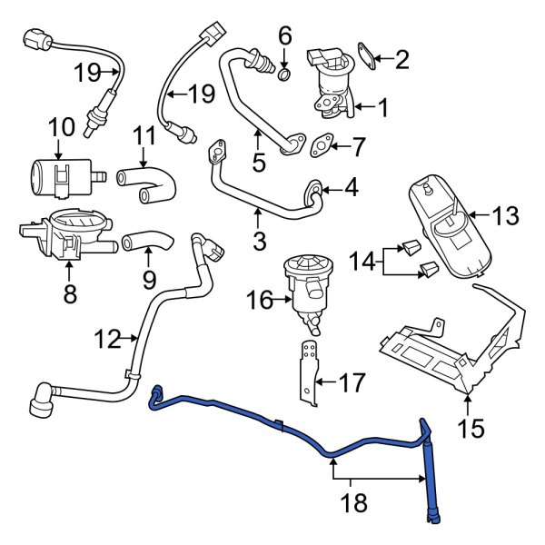Evaporative Emissions System Lines