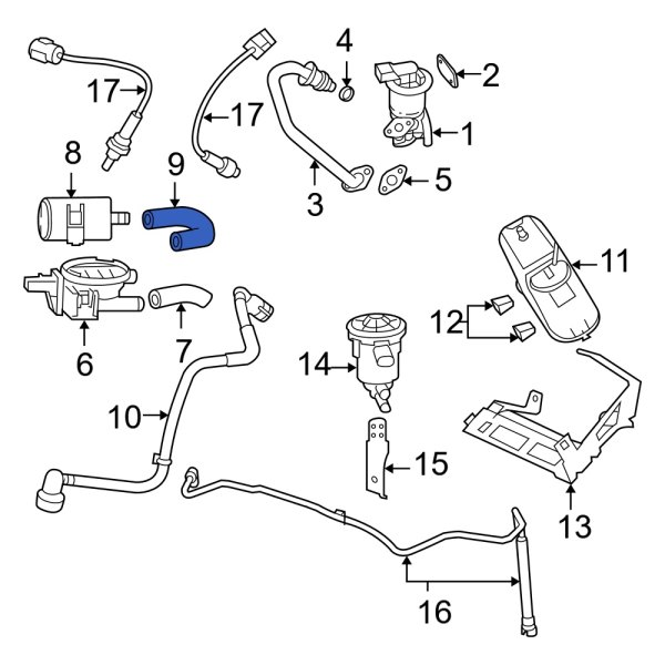 Evaporative Emissions System Lines