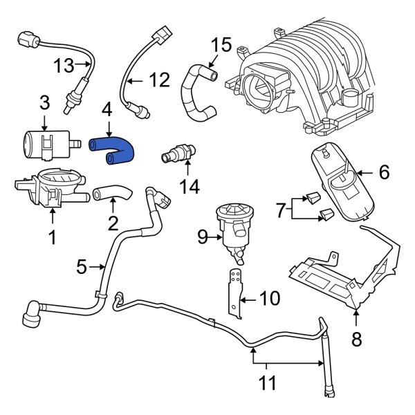 Evaporative Emissions System Lines