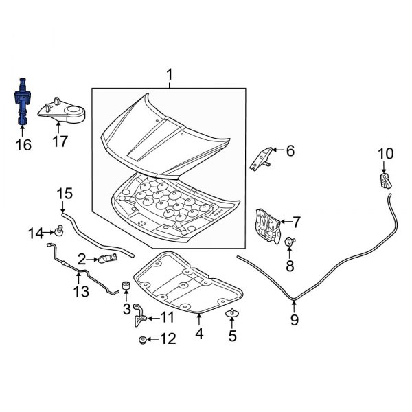 Hood Contact Switch