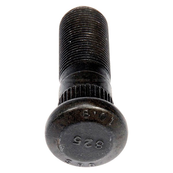 Dorman HD Solutions® - Black Serrated Lug Studs