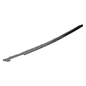 Dorman® - HELP™ Outer Passenger Side Door Window Seal