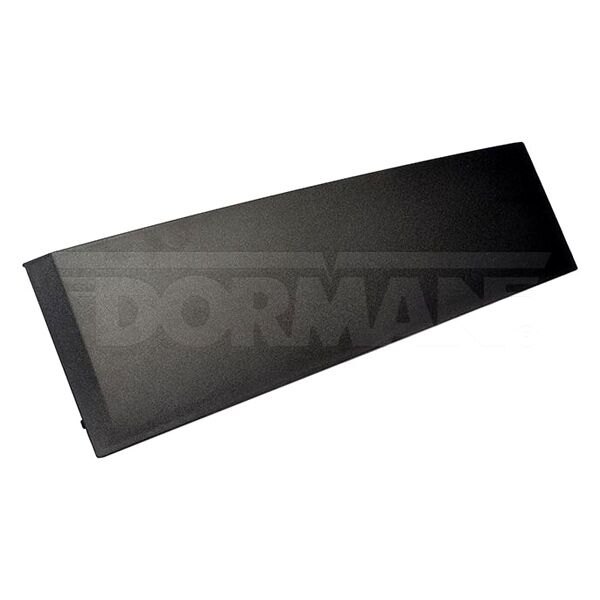 Dorman® - HELP!™ Rear Passenger Side Door Applique