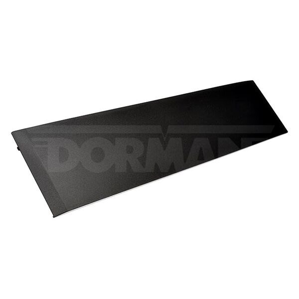 Dorman® - HELP!™ Rear Driver Side Door Applique