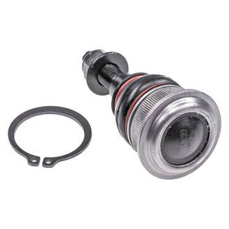 Dorman® - OE Solutions™ Rear Non-Adjustable Lower Taper Ball Joint
