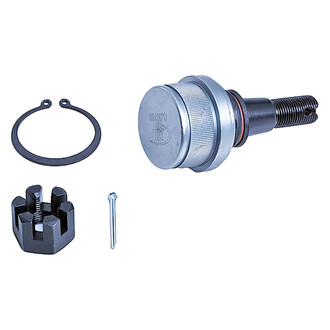 Dorman® - OE Solutions™ Front Non-Adjustable Ball Joint