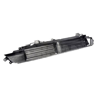 Dorman® - Grille Air Intake