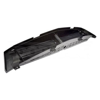 Dorman® - Grille Air Intake