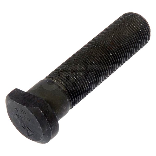 Dorman HD Solutions® - Black Clipped Head Lug Studs