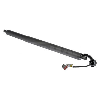 Dorman® - Liftgate Strap Repair Kits