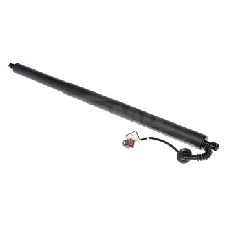 Dorman® - OE Solutions™ Driver Side Liftgate Lift Support