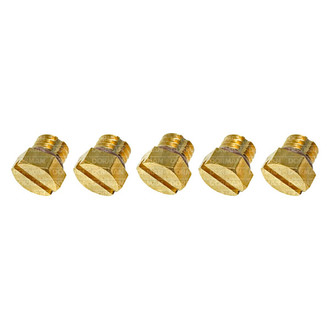 Dorman® - OE Solutions™ Fuel Filter Bleeder Screws