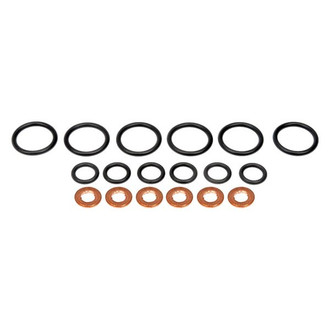 Dorman® - OE Solutions Fuel Injector O-Ring Kit