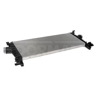 Dorman® - OE Solutions™ Intercooler