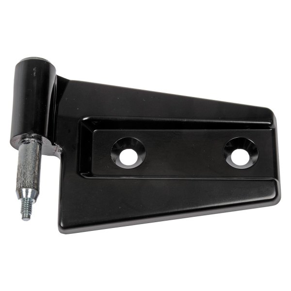 Dorman® - OE Solutions™ Front Driver Side Door Hinge Assembly