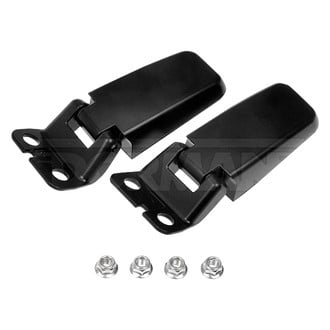 Dorman® - Liftgate Glass Hinges