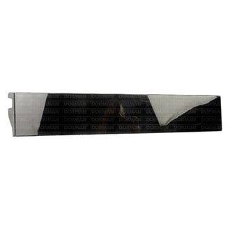 Dorman® - OE Solutions™ Rear Driver Side Door Applique