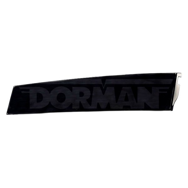Dorman® - OE Solutions™ Rear Driver Side Door Applique