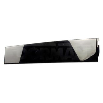Dorman® - OE Solutions™ Rear Driver Side Door Applique