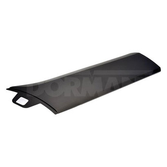Dorman® - OE Solutions™ Front Outer Lower Driver Side Door Molding