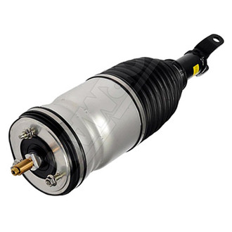 Dorman® - OE Solutions™ Air Suspension Strut