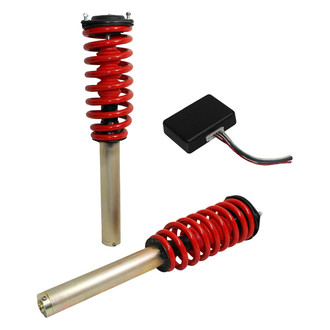 Dorman® - Front and Rear Air to Coil Spring Conversion Kit