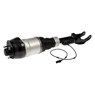 Dorman® - OE Solutions™ Air Suspension Strut