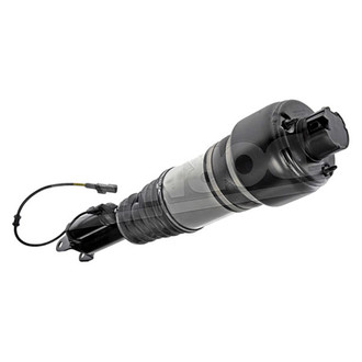 Dorman® - OE Solutions Front Passenger Side Air Strut Assembly