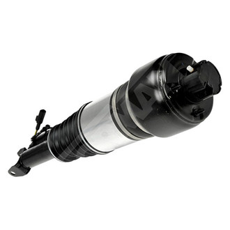 Dorman® - OE Solutions™ Air Suspension Strut