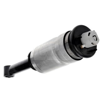 Dorman® - Air Strut Assembly