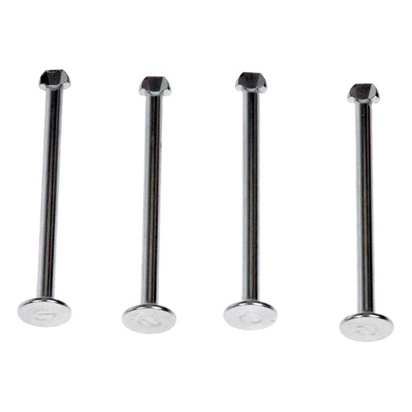 Dorman® HW1102 Rear Drum Brake Shoe Spring Hold Down Pins