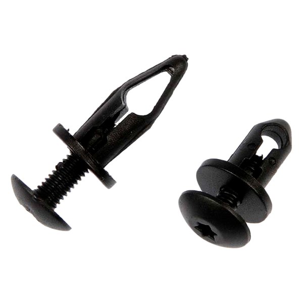 Dorman® 961-040 - Nylon Rivet Assortment