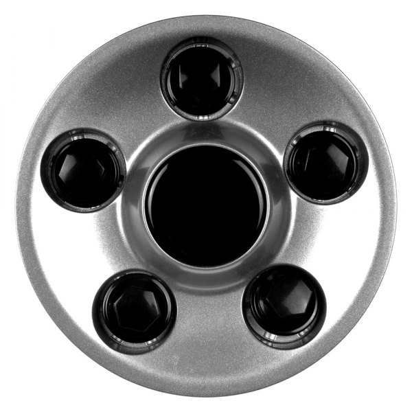 Dorman® - Silver Wheel Center Cap