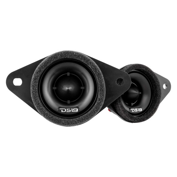DS18® - Custom Fit Speakers
