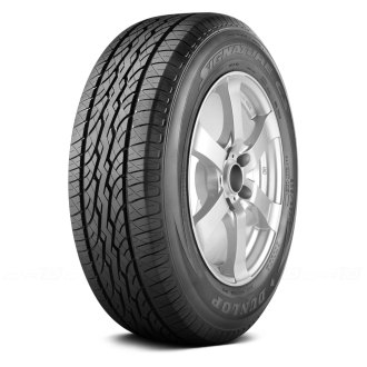 Dunlop™ Tires | Performance, 4x4, All-Season — CARiD.com