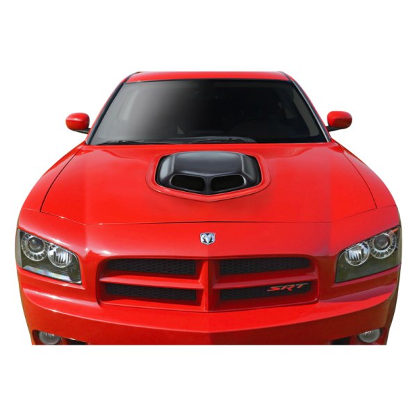 Dodge Charger Hood For Sale