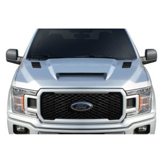 2018 Ford F-150 Custom Hoods 