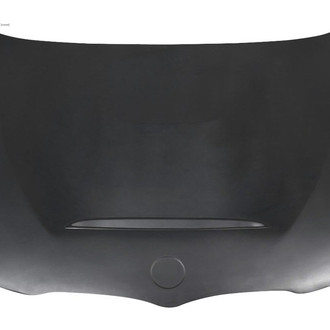 Duraflex® - GTS Style Fiberglass Hood (Unpainted)