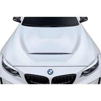Duraflex® - GTS Style Fiberglass Hood (Unpainted)