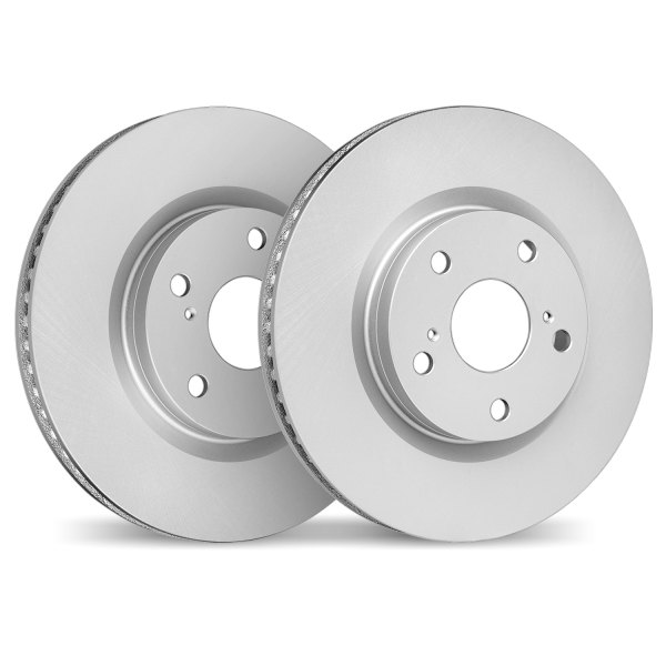 DFC® - GeoSpec® 2-Piece Rear Brake Rotor Set