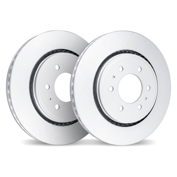 DFC® - GeoSpec® 2-Piece Rear Brake Rotor Set