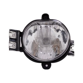 Eagle Eyes® - Passenger Side Replacement Fog Light (Standard Line)