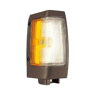 Eagle Eyes® - Passenger Side Replacement Turn Signal/Corner Light (Standard Line)