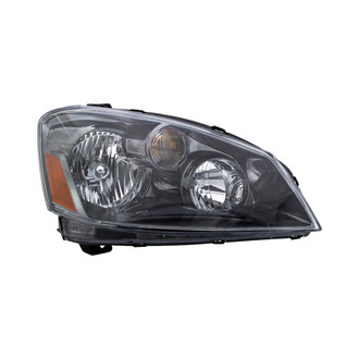 Eagle Eyes® - Passenger Side Replacement Headlight Lens and Housing (Standard Line)