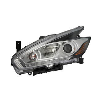Eagle Eyes® - Replacement Headlight (Standard Line)